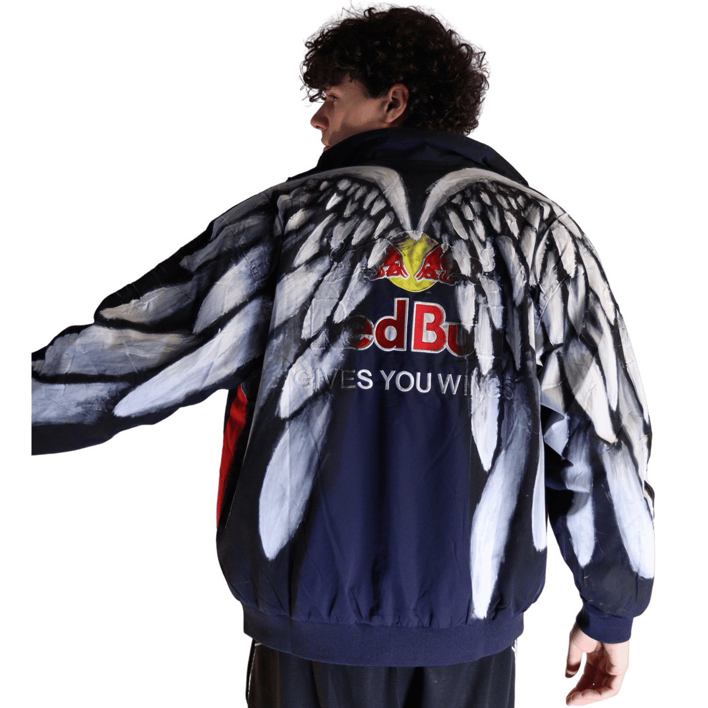 i got wings jacket by vin.shooter