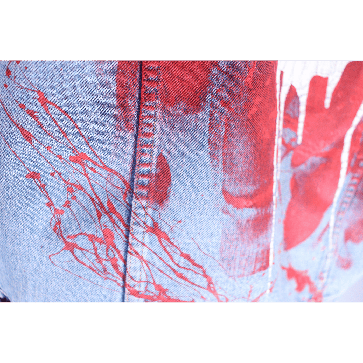 the_crown_jacket_by_vin.shooter